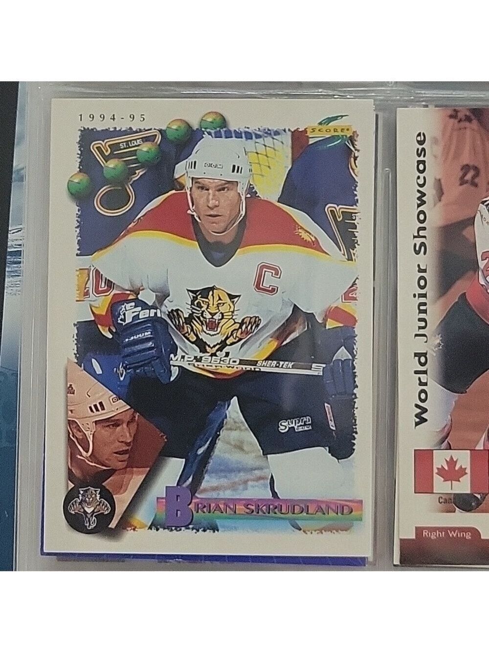 Brian Skudland Hockey Card 1994-95